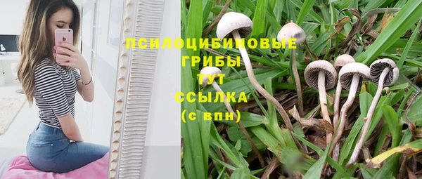 MESCALINE Инсар