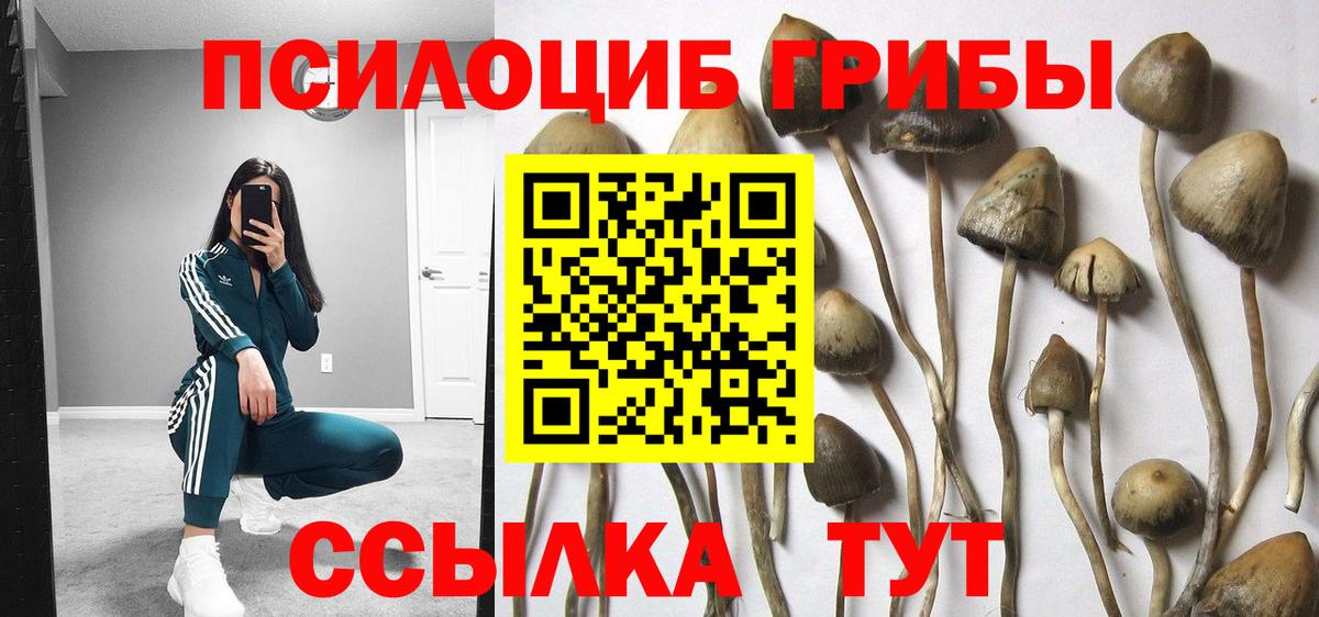 Галлюциногенные грибы Magic Shrooms  Вход с VPN  Псилоцибиновые грибы Psilocybine cubensis  Карталы 