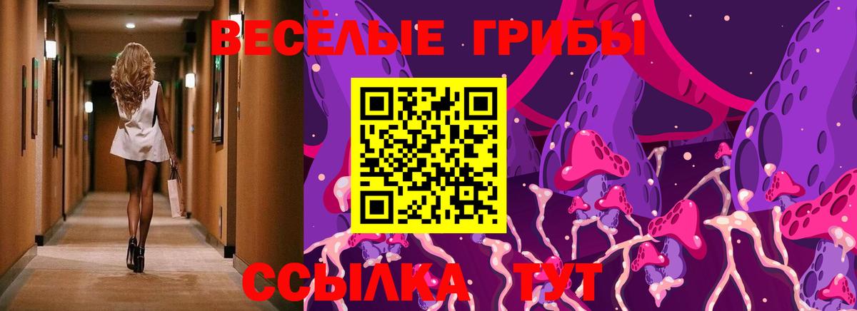 Галлюциногенные грибы ЛСД Карталы