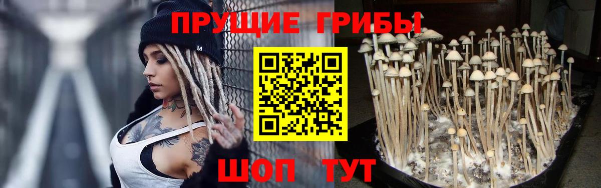 Галлюциногенные грибы ЛСД Карталы